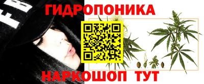 мдпв Рузаевка