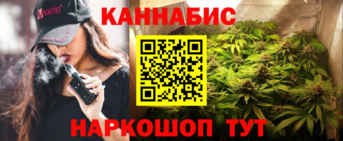 Каннабис планчик Чебаркуль